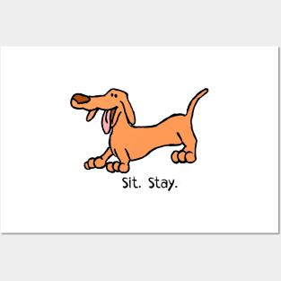 Sit Stay Daft Dachshund Sausage Weiner Dog Posters and Art